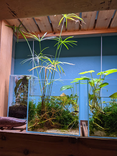 Tropical Fish Store «Aquarium Zen», reviews and photos, 920 NE 64th St, Seattle, WA 98115, USA