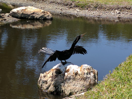 Golf Course «Timber Creek Golf Course», reviews and photos, 4550 Timber Ln, Bradenton, FL 34210, USA