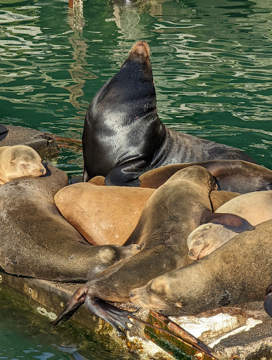 Coffee Shop «Bayscapes Gallery & Coffee house», reviews and photos, 333 SW Bay Blvd, Newport, OR 97365, USA