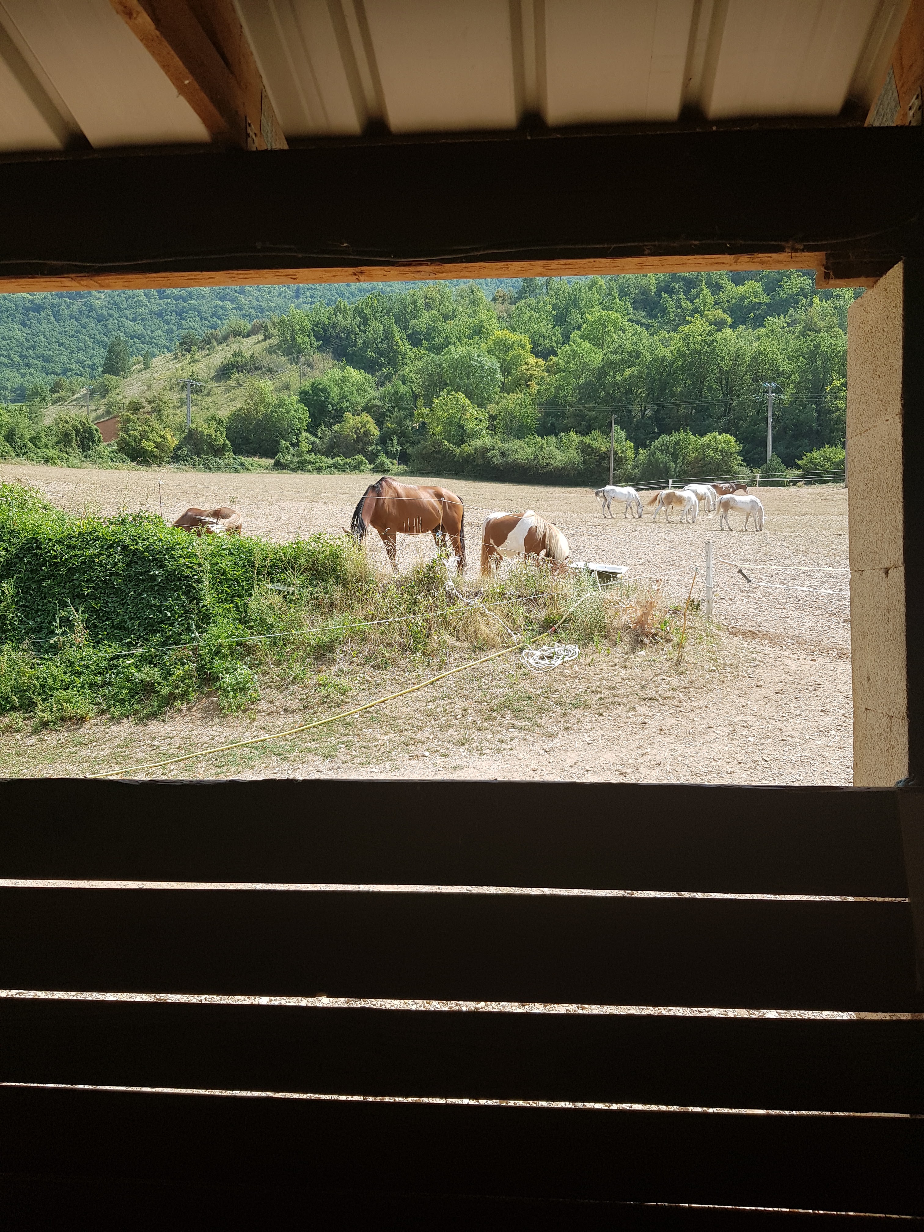 Photo n° 2 de l'avis de Aventure. fait le 25/07/2022 à 12:13