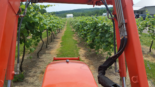 Winery «Rockside Winery and Vineyards», reviews and photos, 2363 Lancaster-Newark Rd NE, Lancaster, OH 43130, USA