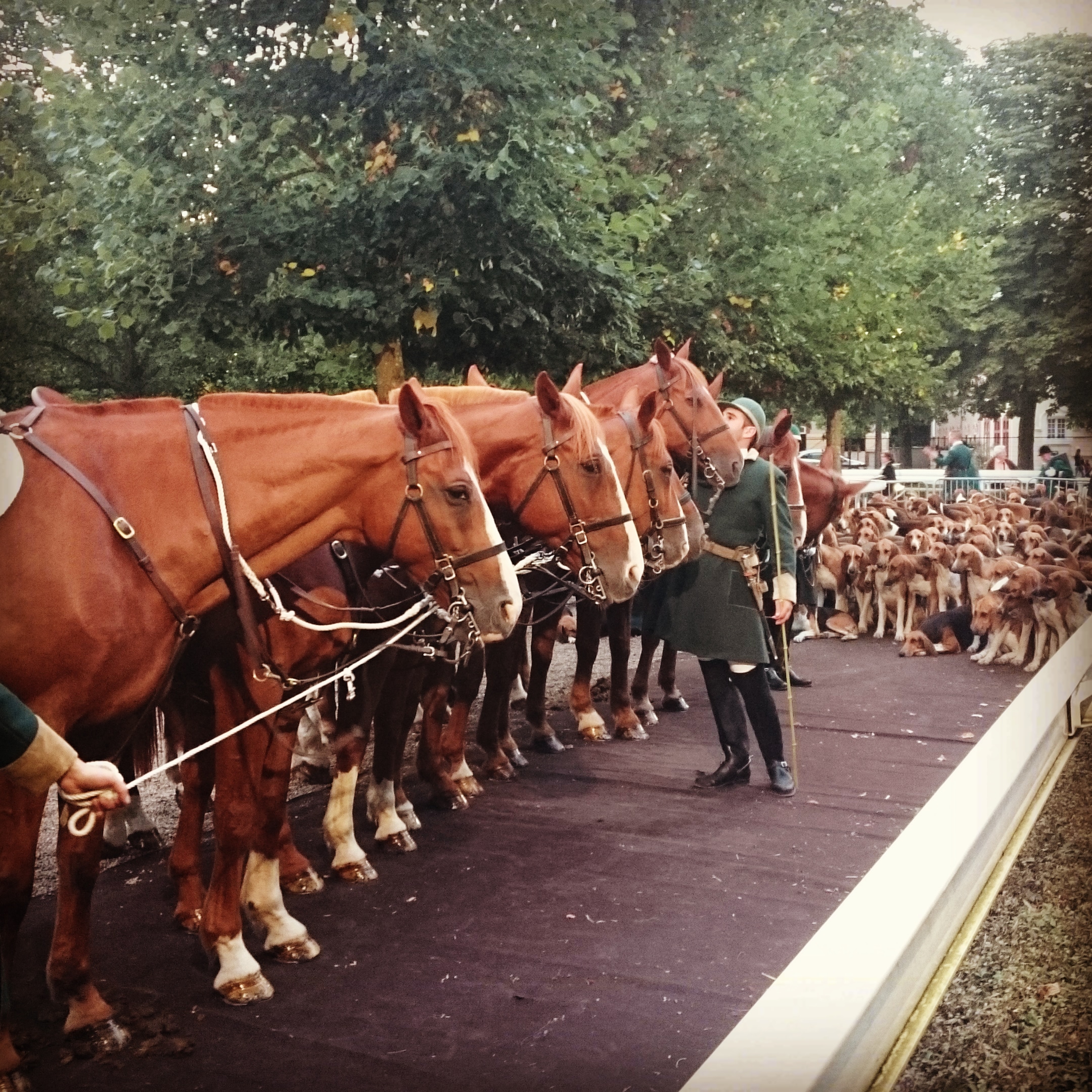Photo n° 3 de l'avis de Sir.e fait le 29/07/2019 à 15:45