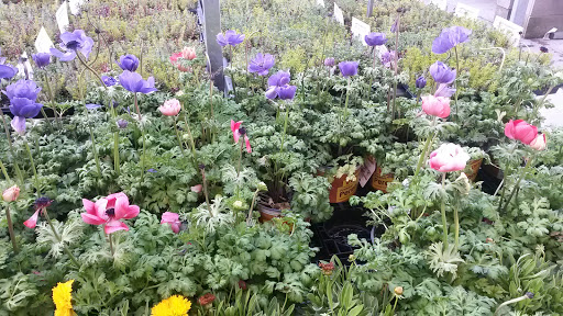 Home Improvement Store «The Home Depot», reviews and photos, 1306 E North Ave, Belton, MO 64012, USA