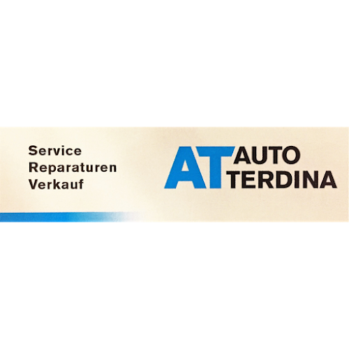 Auto Terdina GmbH - Zug