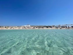 Diakoftis beach photo #12