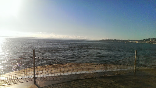 Gift Shop «Seattle Aquarium Gift Store», reviews and photos, 1483 Alaskan Way, Seattle, WA 98101, USA