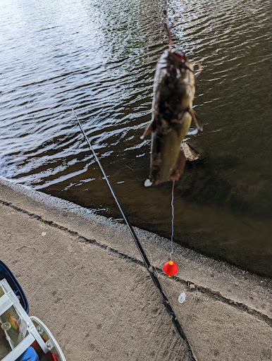 Park «Richard Greene Linear Park», reviews and photos, 1601 E Randol Mill Rd, Arlington, TX 76011, USA