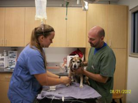 Thiensville-Mequon Small Animal Clinic image