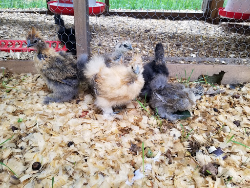 Home Improvement Store «Tractor Supply Co.», reviews and photos, 293 US-206 #15A, Flanders, NJ 07836, USA