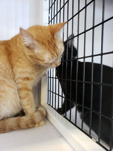 Pet Supply Store «Pet Supplies Plus», reviews and photos, 1258 Northlake Blvd, Lake Park, FL 33403, USA