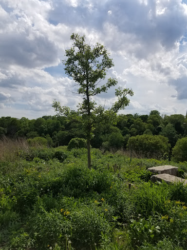 Non-Profit Organization «Urban Ecology Center® at Riverside Park», reviews and photos, 1500 E Park Pl, Milwaukee, WI 53211, USA