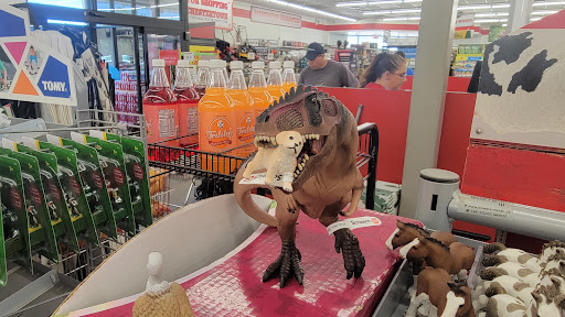 Home Improvement Store «Tractor Supply Co.», reviews and photos, 711 Washington Ave #1b, Chestertown, MD 21620, USA