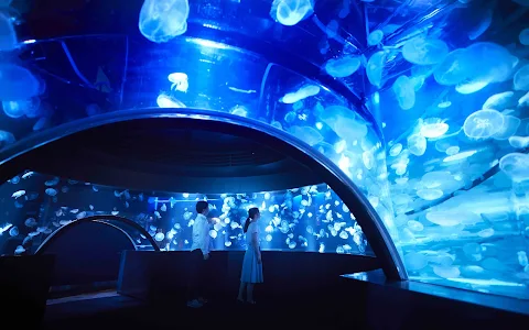 Kyoto Aquarium image