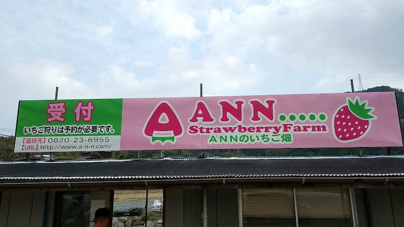 ANNのいちご畑