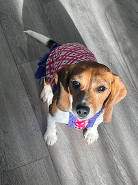 Fluffy Paws Pet Supplies & Grooming - Photo 8 - Car repair in Brooklyn, NY, Staten Island