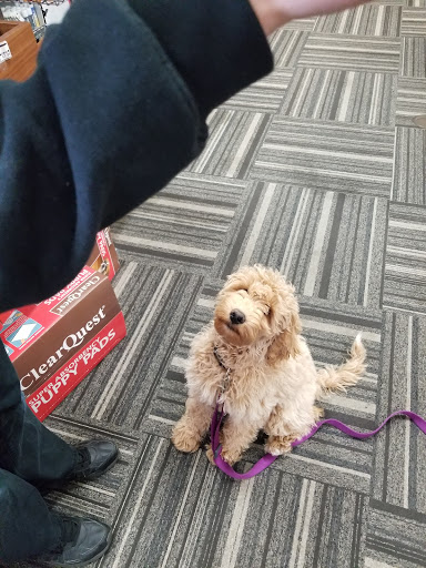 Pet Store «Paws Natural Pet Emporium», reviews and photos, 8551 W Gage Blvd, Kennewick, WA 99336, USA