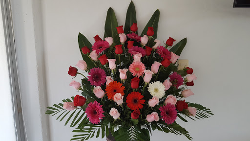 Floreria The Gannet – Mérida