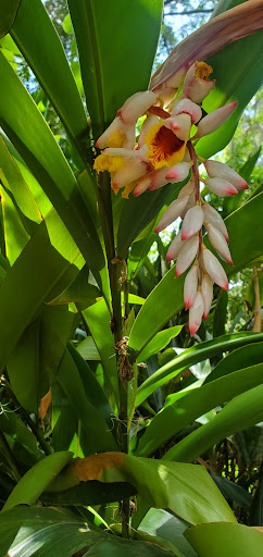 Park «Davis Park», reviews and photos, 612 N Parsons Ave, Brandon, FL 33510, USA