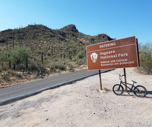 Bicycle Store «JJ Bicycles», reviews and photos, 640 N Stone Ave, Tucson, AZ 85705, USA