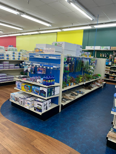 Pet Supply Store «Pet Supermarket», reviews and photos, 1125 Royal Palm Beach Blvd, Royal Palm Beach, FL 33411, USA