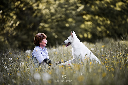 Dog handlers in Zurich