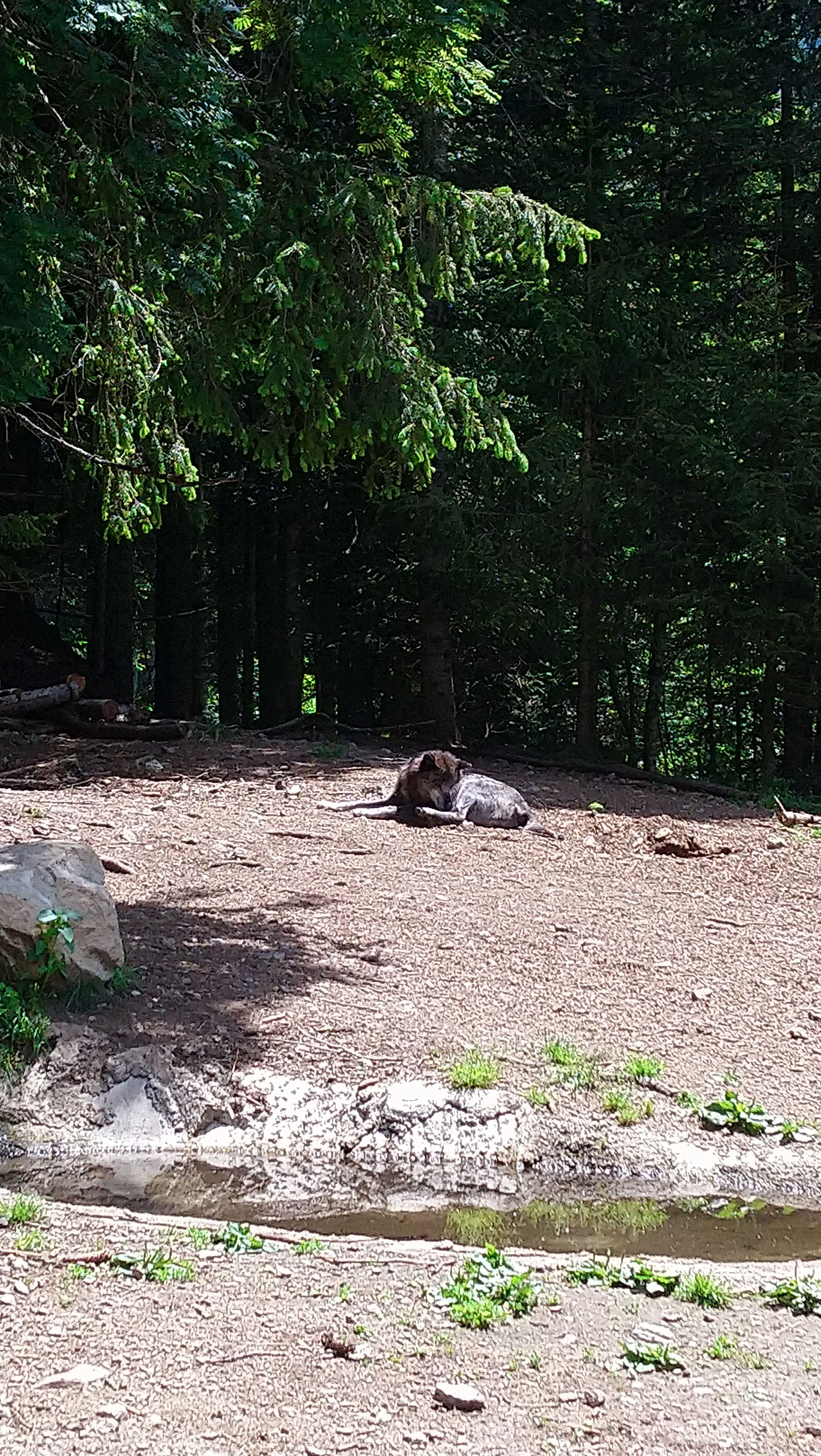 Photo n° 5 de l'avis de CHRISTOPHE. fait le 02/08/2019 à 07:51