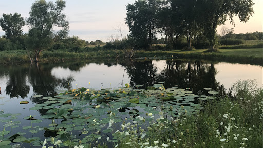 Nature Preserve «Shoe Factory Road Prairie Nature Preserve», reviews and photos, Shoe Factory Rd, Hoffman Estates, IL 60192, USA