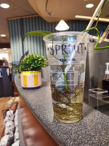 Shopping Mall «Hacienda Crossings», reviews and photos, 4980 Dublin Blvd, Dublin, CA 94568, USA