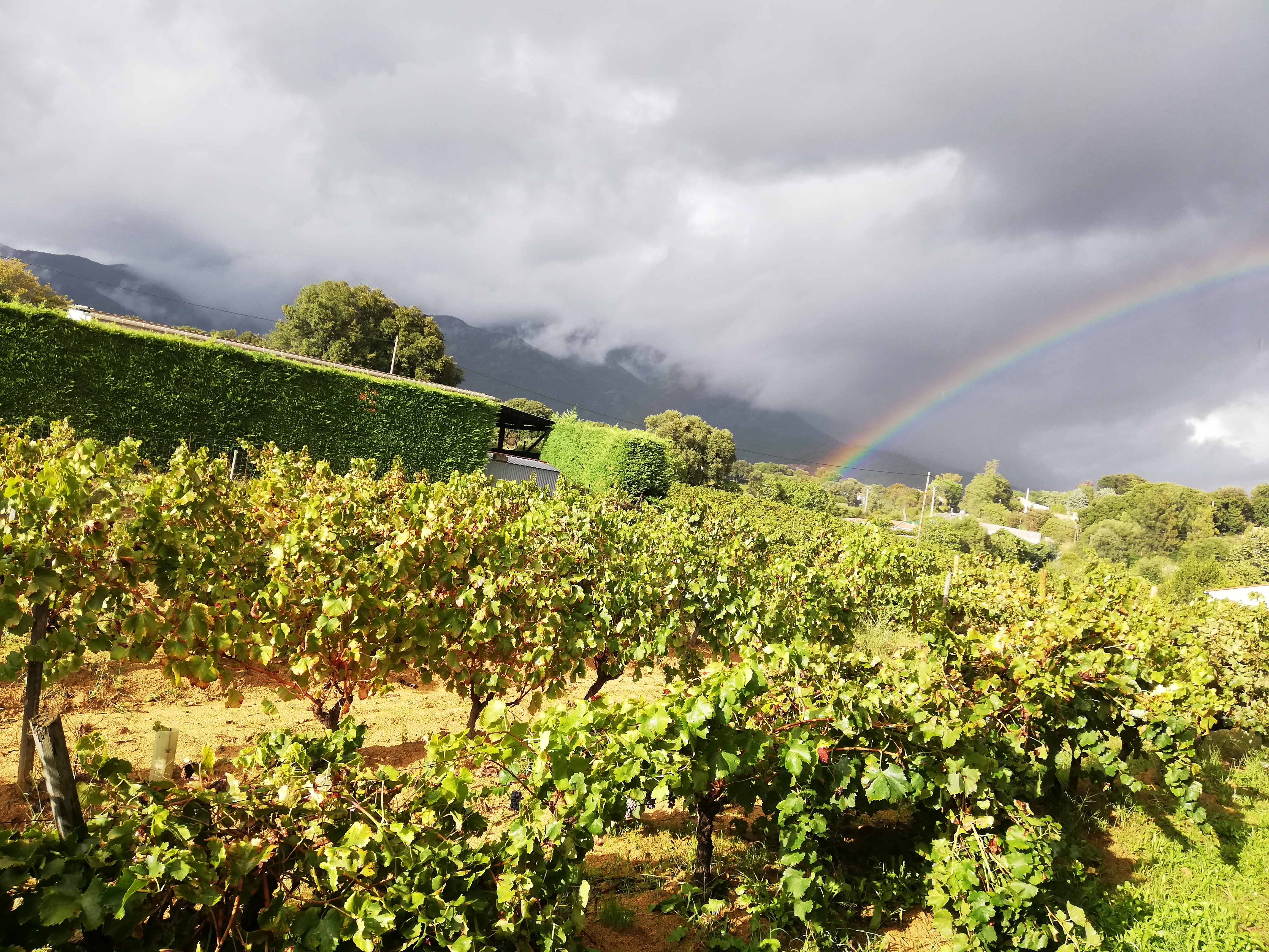 Photo n° 1 de l'avis de Françoise.E fait le 28/09/2020 à 17:37