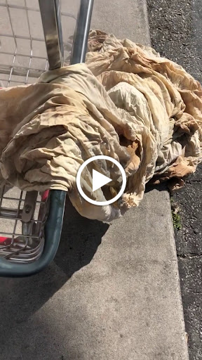 Laundromat «Coin Laundry of Venice», reviews and photos, 1000 Venice Blvd, Venice, CA 90291, USA