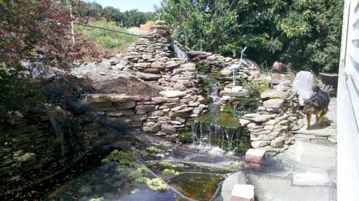 Garden Center «Lake Anna Nursery», reviews and photos, 71 Oak Grove Dr, Mineral, VA 23117, USA