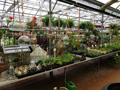 Garden Center «Sixteen Acres Garden Center», reviews and photos, 1359 Wilbraham Rd, Springfield, MA 01119, USA