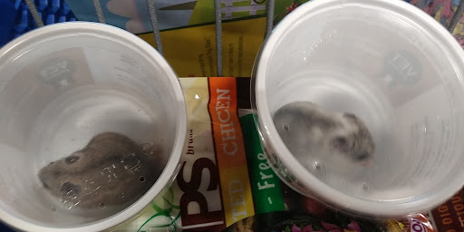 Pet Supply Store «PetSmart», reviews and photos, 479 River Hill Dr, Ashland, KY 41101, USA