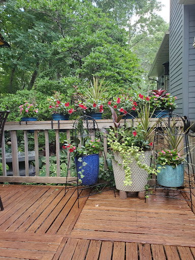 Home Improvement Store «The Home Depot», reviews and photos, 15800 Grove Cir N, Maple Grove, MN 55369, USA