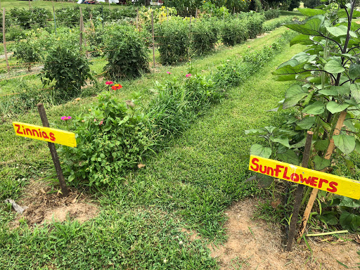 Produce Market «Richards Fruit Market», reviews and photos, 6410 Middle Rd, Middletown, VA 22645, USA