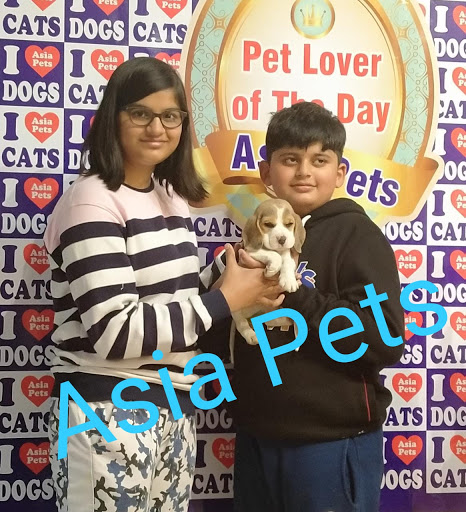 Aqua Dog Clinic & Hospital ( Pet For Sale in Delhi - Gud Price )