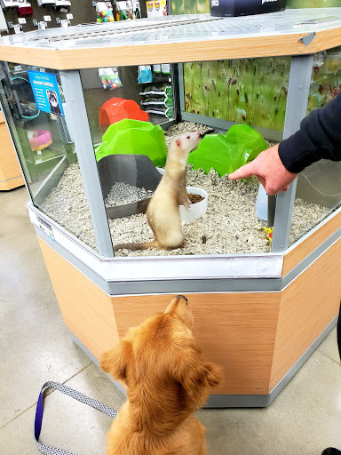 Pet Supply Store «Petco Animal Supplies», reviews and photos, 1011 University Blvd #100, Suffolk, VA 23435, USA