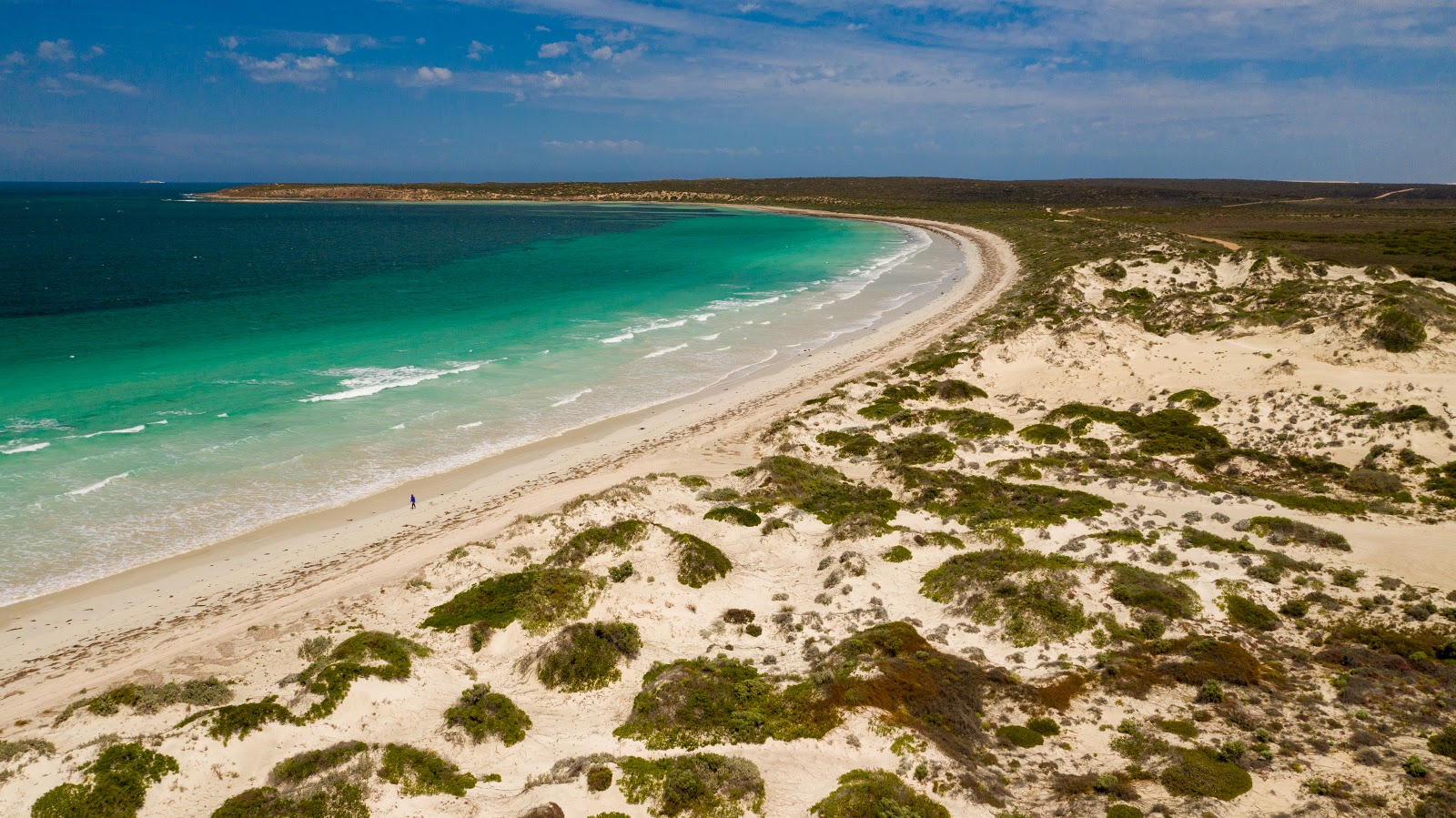 Foto von Davenport Creek Beach mit sehr sauber Sauberkeitsgrad