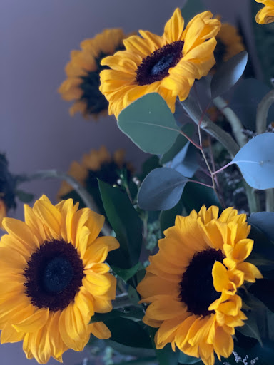 Florist «Something Special Florist», reviews and photos, 1546 Main St, Columbia, SC 29201, USA