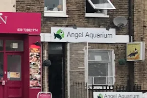 Angel Aquarium image