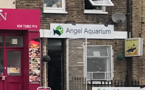 Angel Aquarium image