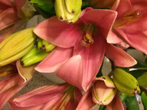 Florist «Precious Memories Florist», reviews and photos, 1500 N Parsons Ave, Brandon, FL 33510, USA