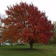 Griswold Golf Course