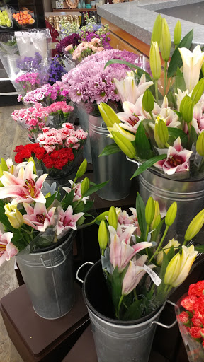 Shopping Mall «Gateway Centre Plaza», reviews and photos, Howard St, Chicago, IL 60626, USA