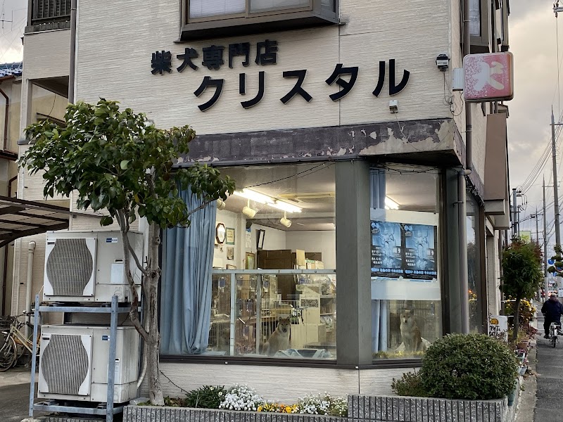柴犬専門店 クリスタル