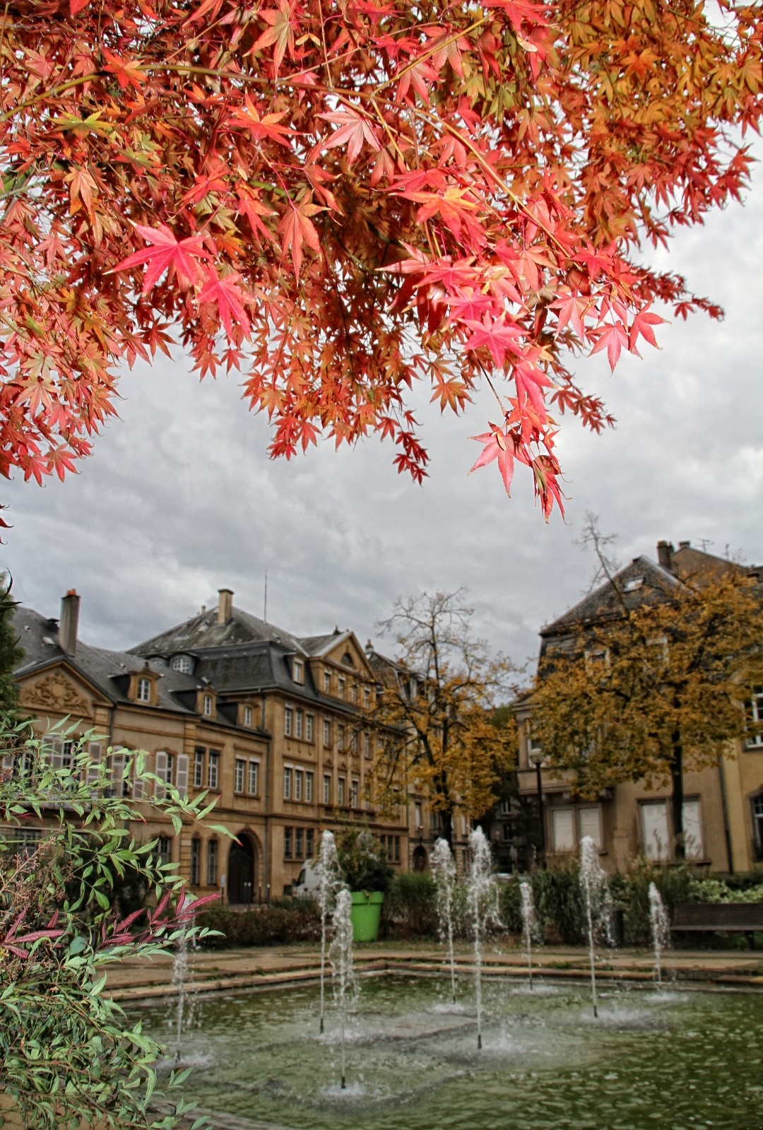 Photo n° 8 de l'avis de Michel.a fait le 26/10/2020 à 17:15