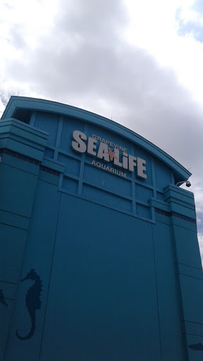Aquarium «SEA LIFE Grapevine Aquarium», reviews and photos, 3000 Grapevine Mills Pkwy, Grapevine, TX 76051, USA
