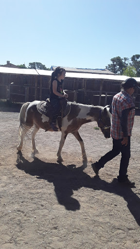 Zoo «Jr Pony Parties», reviews and photos, 1744 N Leonard Ln, Las Vegas, NV 89108, USA