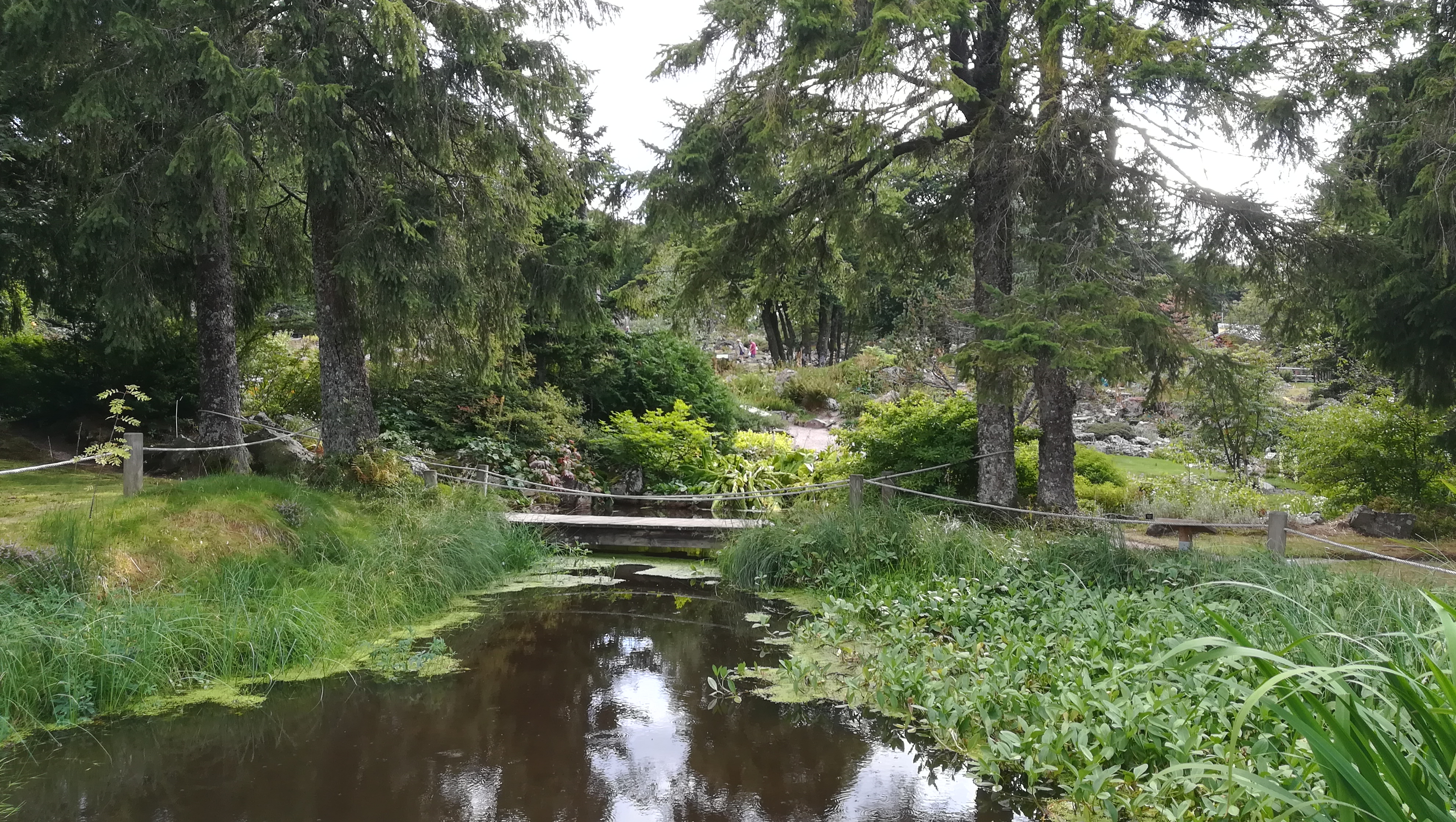 Photo n° 5 de l'avis de henrich.i fait le 27/08/2018 à 16:42