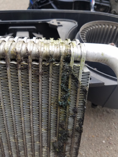 Auto Repair Shop «Weaver Auto Services», reviews and photos, 826 E Canino Rd, Houston, TX 77037, USA